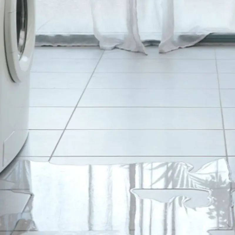 Appliance Leak Cleanup in Charlevoix County, MI