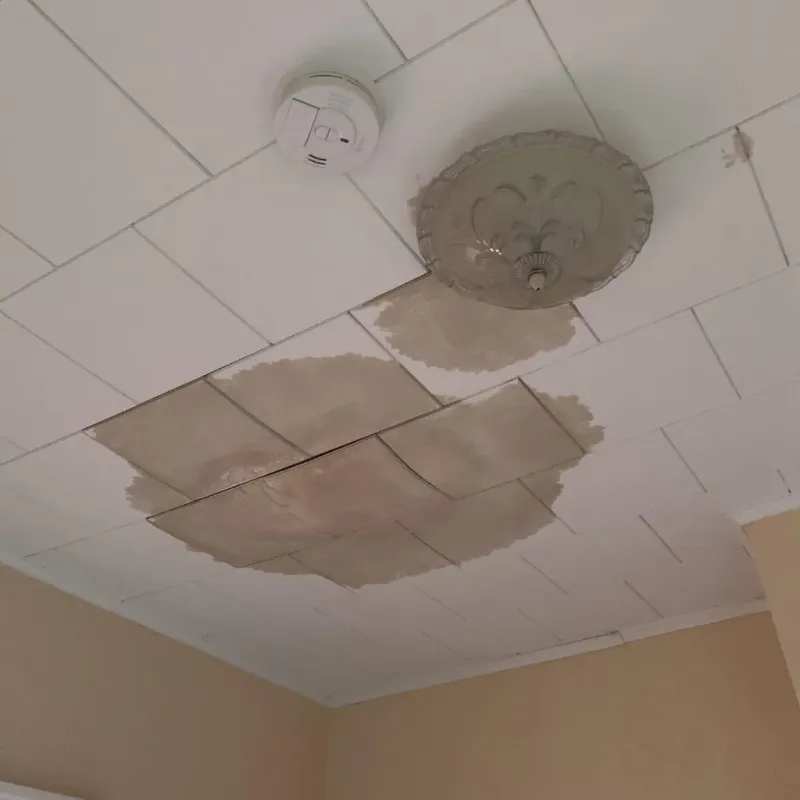Ceiling Water Damage Repair in Charlevoix County, MI