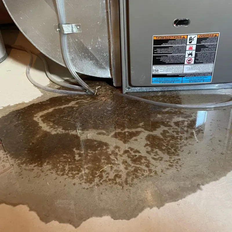 Pipe Burst and Leak Restoration in Charlevoix County, MI
