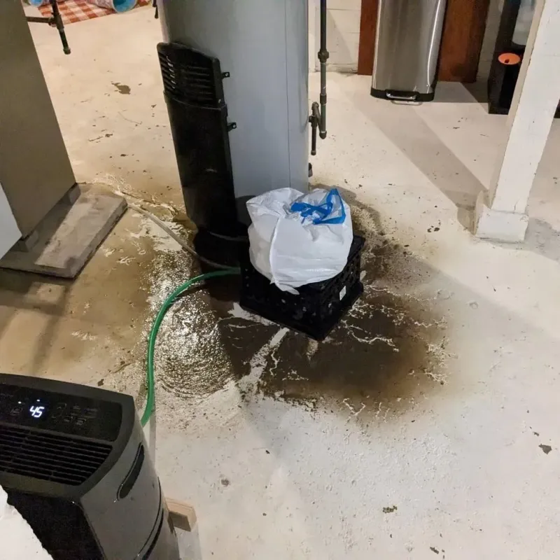 Sewage Backup Cleanup Service in Charlevoix County, MI